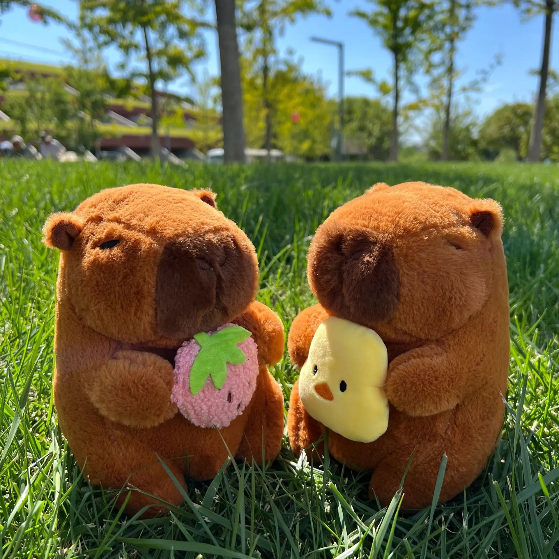Capybara Plush