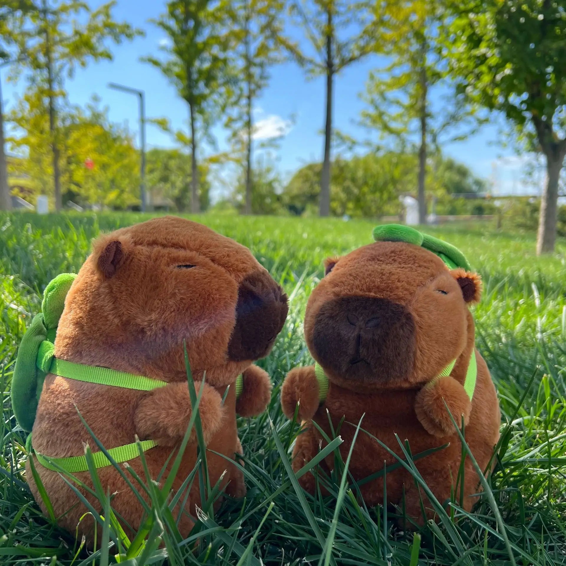 Capybara Plush